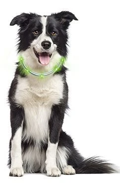 LumiVision LED-Halsband Mit USB-Ladekabel + Betriebsanleitung Grün 3 LumiVision LED-Halsband Mit USB-Ladekabel + Betriebsanleitung Grün