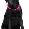 LumiVision LED-Halsband Mit USB-Ladekabel + Betriebsanleitung Rosa 2 LumiVision LED-Halsband Mit USB-Ladekabel + Betriebsanleitung Rosa -Hundebedarf Verkauf 02530.310.410 2 1