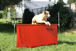 Meiko Übungs-Sprunggerät Orange -Hundebedarf Verkauf 03206 1