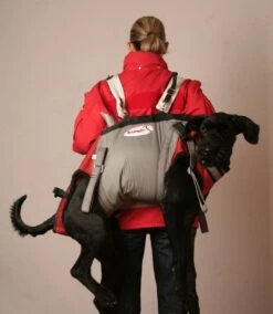 Bende Rettungsgeschirr -Hundebedarf Verkauf 03472.s 2