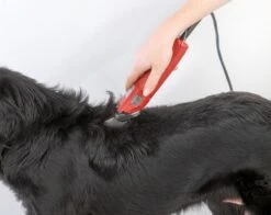 Aesculap Schermaschine Favorita Speed GT114 -Hundebedarf Verkauf 05464 3