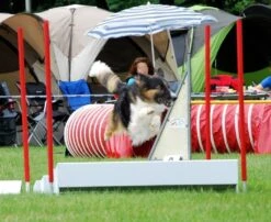 WT-Metall Weitsprung 9 WT-Metall Weitsprung -Hundebedarf Verkauf 06014.B 3