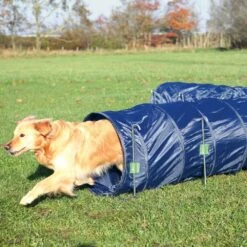 Agility Tunnel