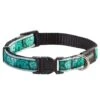 Rogz Fancy Dress Halsband MintDog -Hundebedarf Verkauf 100.001.cm