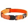 Rogz Fancy Dress Halsband OrangeDoodle 1 Rogz Fancy Dress Halsband OrangeDoodle -Hundebedarf Verkauf 100.001.cp