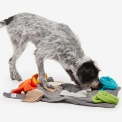 Knauder's Best Sniff Pad Elements 8 Knauder's Best Sniff Pad Elements -Hundebedarf Verkauf 10020700 3