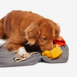 Knauder's Best Sniff Pad Elements 9 Knauder's Best Sniff Pad Elements -Hundebedarf Verkauf 10020700 4