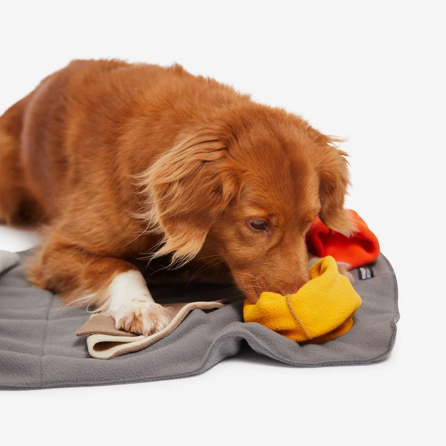 Knauder's Best Sniff Pad Elements 6 Knauder's Best Sniff Pad Elements – Bild 4