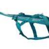Non-Stop Zuggeschirr FREEMOTION 5.0 Teal -Hundebedarf Verkauf 11145.n 1