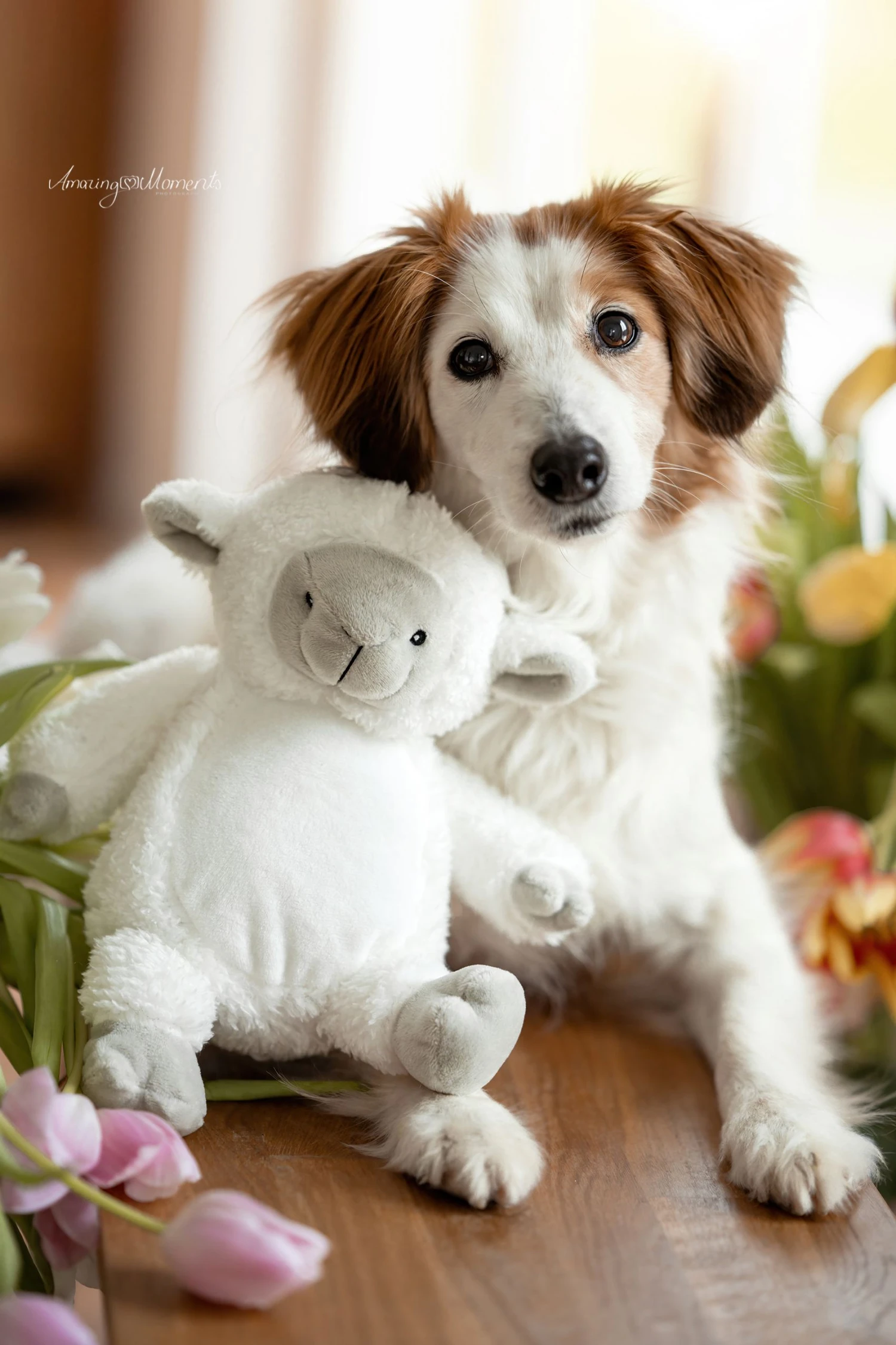 Frauchens Liebling Kuschelschäfchen Emma Weiss 26cm 3 Frauchens Liebling Kuschelschäfchen Emma Weiss 26cm