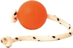 Top-Matic Fun-Ball 6.8 Cm -Hundebedarf Verkauf 16100