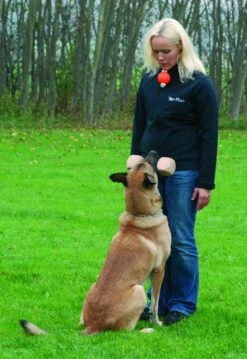 Top-Matic Technic-Ball 6.8 Cm