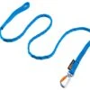 Non-stop Bungee Leash Blau -Hundebedarf Verkauf 16411.n 43973 1