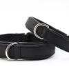 Maul Halsband Klassik Premium Schwarz / Silber -Hundebedarf Verkauf 1833 01 44326 1