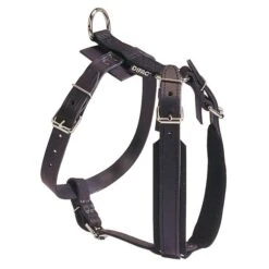 Hetzgeschirr Leder Mit Brustplatte