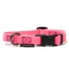 Treusinn Hundehalsband STAY Neonpink -Hundebedarf Verkauf 20997.430 1