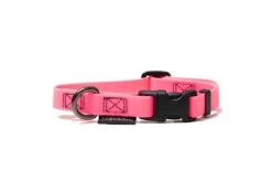 Treusinn Hundehalsband STAY Neonpink