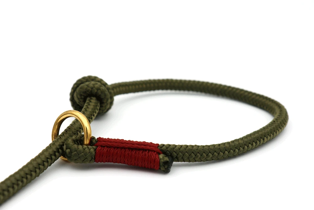 Tau Stil Retrieverleine Oliv / Bordeaux Taulänge 1.1 M / Taustärke 8 Mm 4 Tau Stil Retrieverleine Oliv / Bordeaux Taulänge 1.1 M / Taustärke 8 Mm – Bild 2