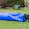 Procyon Sacktunnel 3m X 60 Cm -Hundebedarf Verkauf 243911