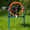 Procyon Agility Set K2 1 Tunnel, 4 Slalomstangen, 1 Sprung, 1 Sprungring Ø 41cm -Hundebedarf Verkauf 243922 2