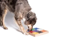 My Intelligent Pets Dog's SUDOKU M Expert Rainbow Ca. 27.5 X 27.5 X 3 Cm -Hundebedarf Verkauf 409023 3