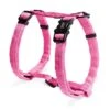 Freezack Comfort Geschirr Pink -Hundebedarf Verkauf 412.503.k 1