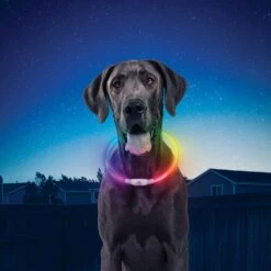 Nite Ize NiteHowl LED-Halsband Disc-o-select Wiederaufladbar -Hundebedarf Verkauf 44616 8