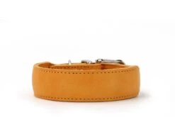 Maul Halsband Mono Pop Maisgelb / Silber -Hundebedarf Verkauf 5063 1