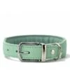 Maul Halsband Mono Pop Mint / Silber -Hundebedarf Verkauf 5066