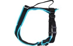 Grossenbacher Geschirr Vary Verstellbar -Hundebedarf Verkauf 51017001