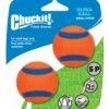 Chuckit Ultra Ball S 5 Cm 2 Stück -Hundebedarf Verkauf 5180918