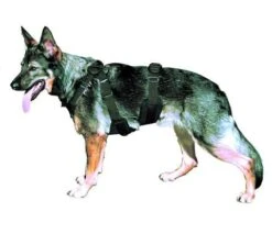 Abseilgeschirr Spezial -Hundebedarf Verkauf 60695 mit hund