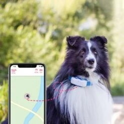 Tractive GPS Tracker Dog 4 -Hundebedarf Verkauf 629862 3