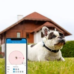 Tractive GPS Tracker Dog 4 -Hundebedarf Verkauf 629862 7