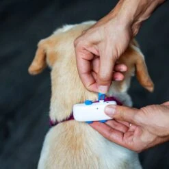 Tractive GPS Tracker Dog 4 -Hundebedarf Verkauf 629862 8