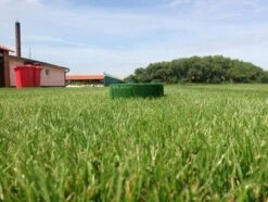 Flexhole Höhe 10 Cm Ø Ca. 30 Cm -Hundebedarf Verkauf 7334207 3