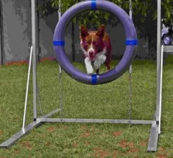 WT-Metall Safety Reifen -Hundebedarf Verkauf 740036S 3