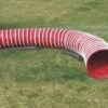 WT-Metall Fester Tunnel Ø 60 Cm, 3.6 M Farben Assortiert 1 WT-Metall Fester Tunnel Ø 60 Cm, 3.6 M Farben Assortiert -Hundebedarf Verkauf 740039