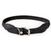 Lederband Dublin Rund Schwarz 2 Lederband Dublin Rund Schwarz -Hundebedarf Verkauf a101472 01