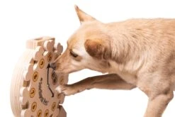 My Intelligent Pets Pet's Clock Ca. 30 X 28 X 6.5 Cm -Hundebedarf Verkauf dsc 3574