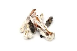 Edelbeiss Kaninchen Ohren Mit Fell