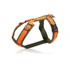 Anny-X Geschirr Fun Oliv-orange