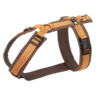 Anny-X Geschirr Fun Braun-bernstein -Hundebedarf Verkauf gf 200 44545