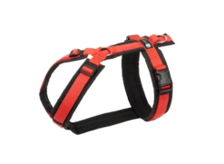 Anny-X Geschirr Fun Rot-schwarz