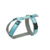 Anny-X Geschirr Fun Grau-eisblau -Hundebedarf Verkauf gf 252 neu 1