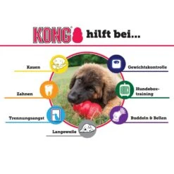 KONG Senior Lila -Hundebedarf Verkauf kn1e 3