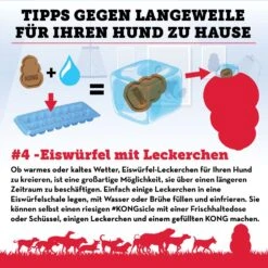 KONG Classic Mit Seil Rot -Hundebedarf Verkauf kong freeze de 2