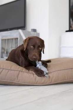 Laboni Hundespielzeug Elton Elefant -Hundebedarf Verkauf lab10810 6