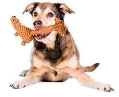 Laboni Hundespielzeug Eddie Eichhorn 13 X 6 X 24 Cm -Hundebedarf Verkauf lab12300 2