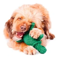 Laboni Hundespielzeug Tina Turtle 19 X 14 X 6 Cm 6 Laboni Hundespielzeug Tina Turtle 19 X 14 X 6 Cm -Hundebedarf Verkauf lab12500 2